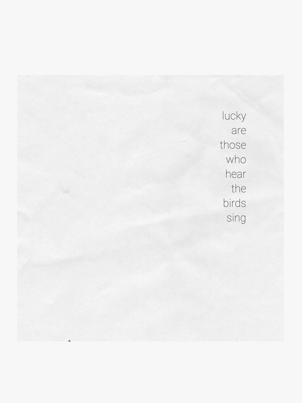 Various Artists - Lucky Are Those Who Hear The Birds Sing LP