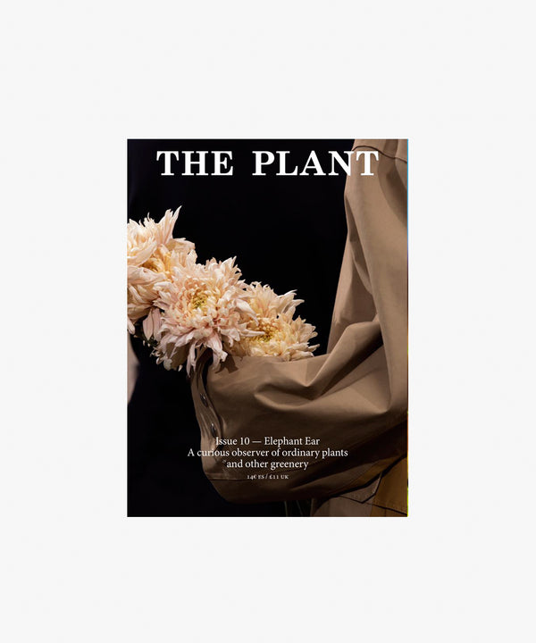 The Plant Issue 10